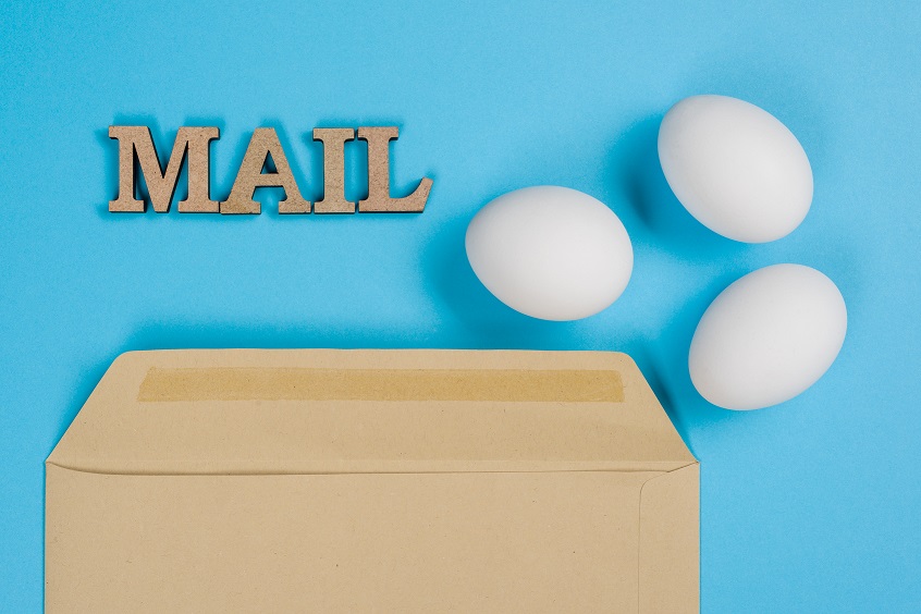 The concept of secure courier service, reliable postal company. Abstract image of eggs in an envelope and the word mail, post. Blue background.